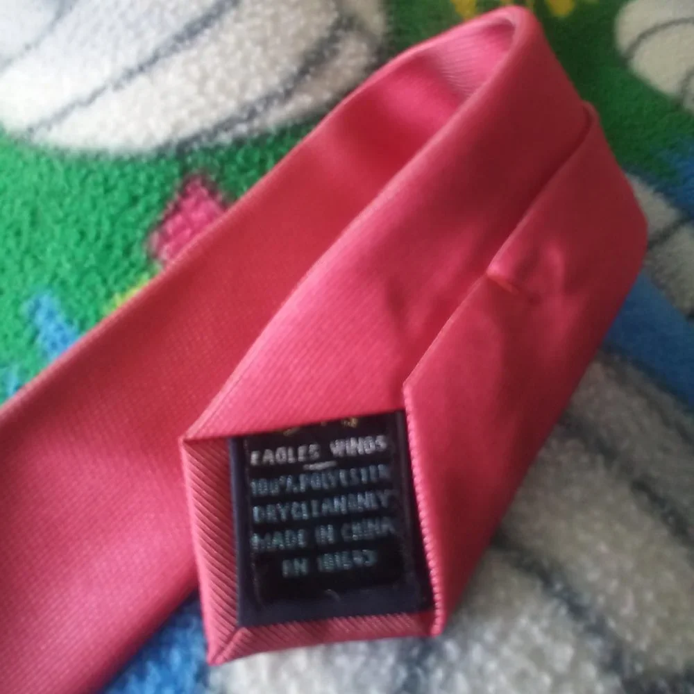 LIKE NEW EAGLES WINGS UGA TIE